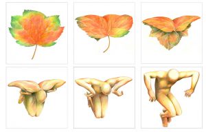 Leaf Man